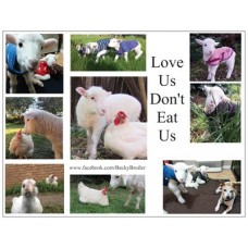 Love Us Don't Eat Us Magnet